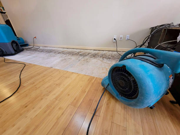 Professional Water Extraction technician working in Leon, IA